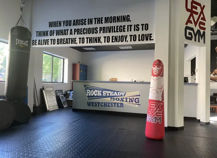 Rock Steady Boxing Westchester Picture 4