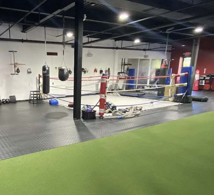 Rock Steady Boxing Westchester Picture 1