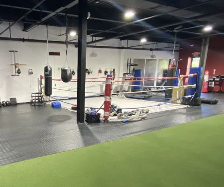 Rock Steady Boxing Westchester
