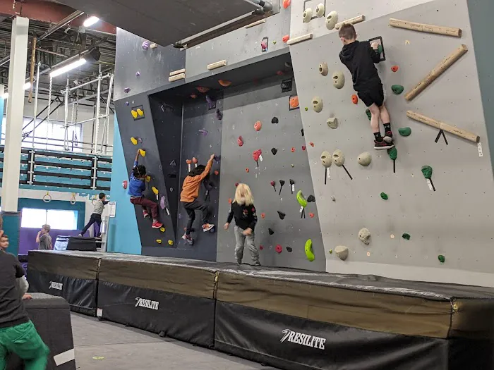 The Grit Ninja Picture 2