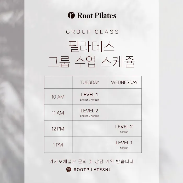 Root Pilates Picture 4