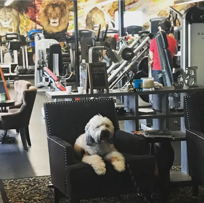 Body Chemistry Fitness Center Picture 10