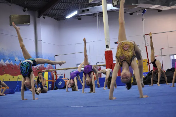 Paragon School-Artistic Gymnastics Picture 2