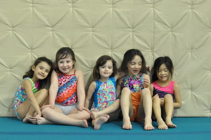 Paragon School-Artistic Gymnastics Picture 6