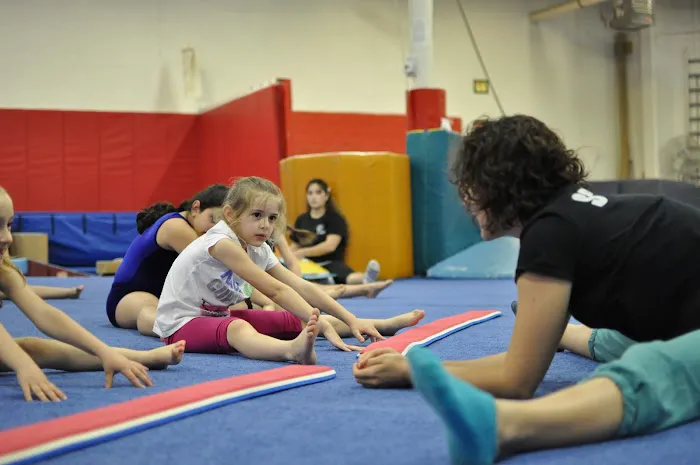 Paragon School-Artistic Gymnastics Picture 8