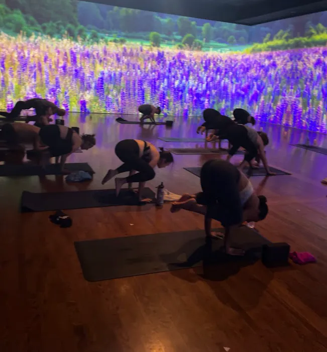 Immerse Hot Yoga & Pilates Picture 3