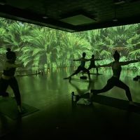 Immerse Hot Yoga & Pilates ico