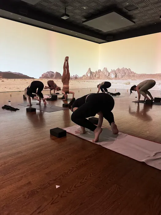 Immerse Hot Yoga & Pilates Picture 9