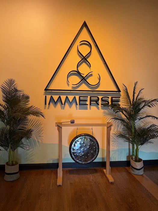 Immerse Hot Yoga & Pilates Picture 8