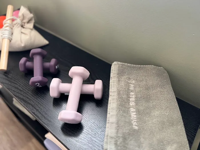 Pilates Amuse Picture 5