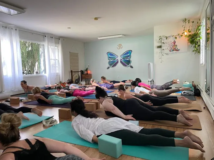 Agahatha Yoga Picture 4