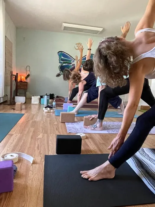 Agahatha Yoga Picture 7