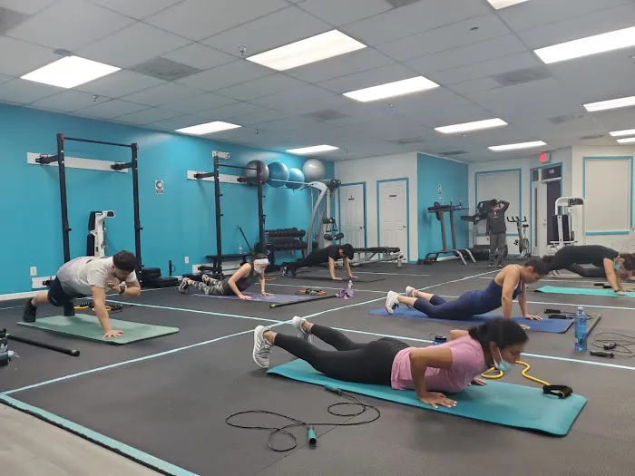Equus Sport Gym Picture 1