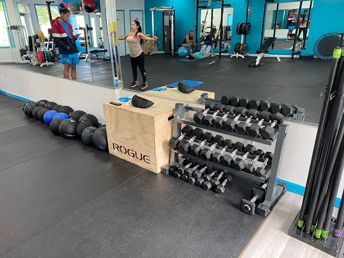Equus Sport Gym Picture 3