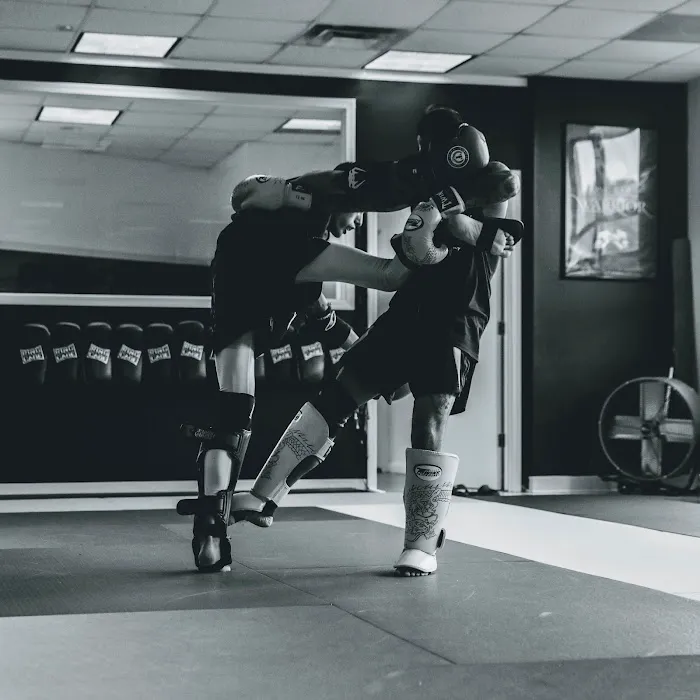 8 Venoms Muay Thai Picture 3