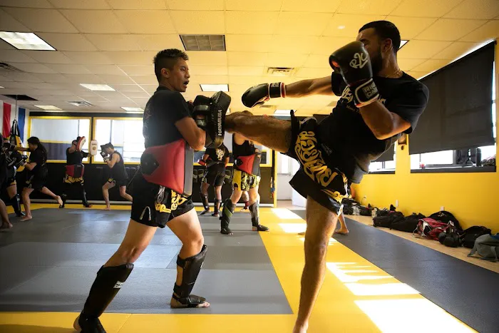 8 Venoms Muay Thai Picture 5