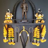 8 Venoms Muay Thai ico
