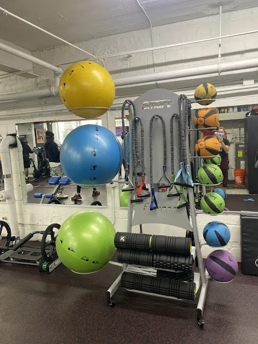 Different Breed Elite Fitness Picture 5
