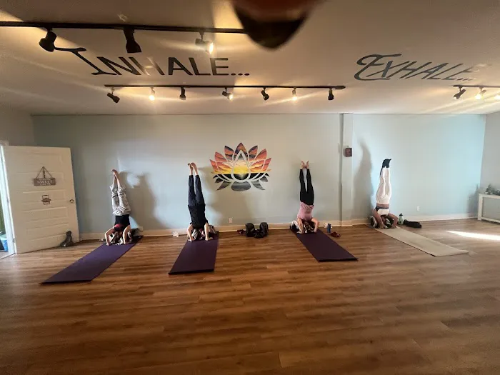 Pure Life Movement Studio Picture 3