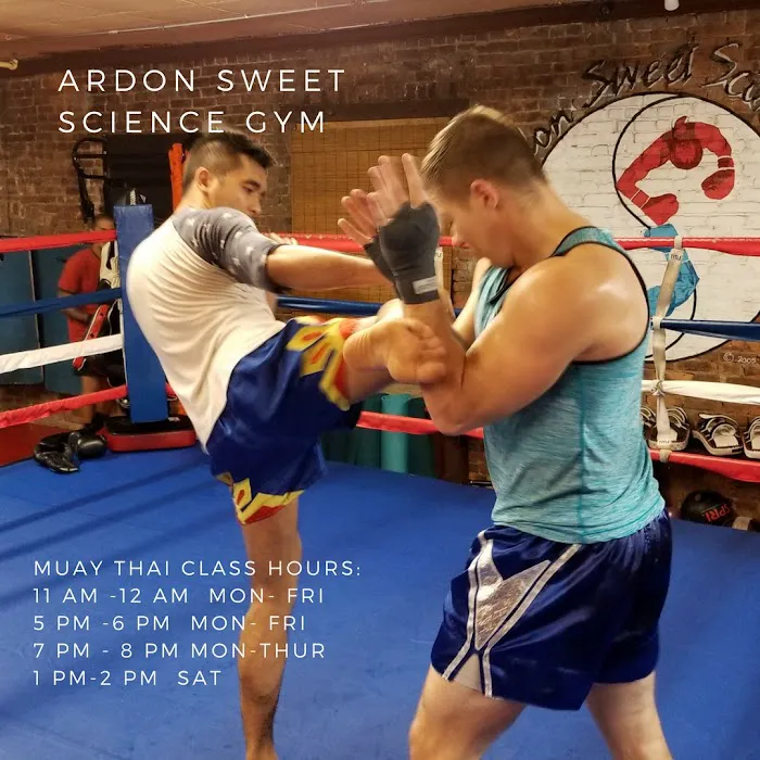 Ardon Sweet Science Gym Picture 2