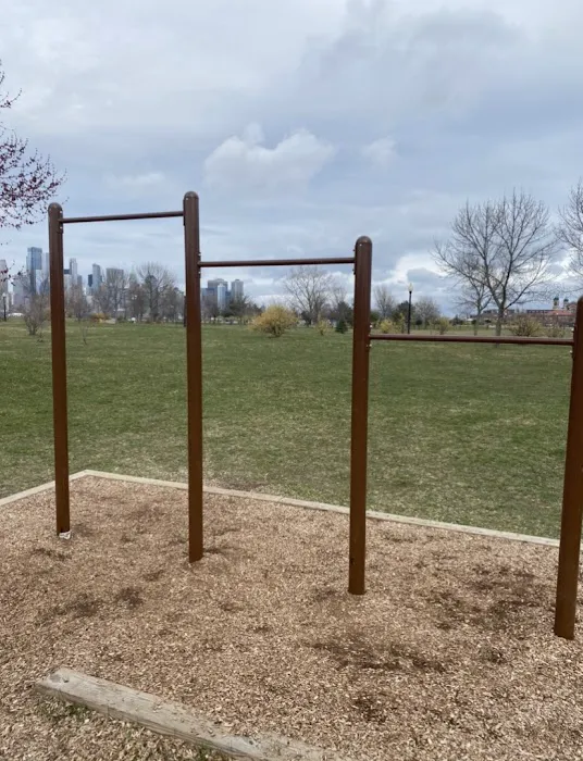 Pull Up Bars Picture 7