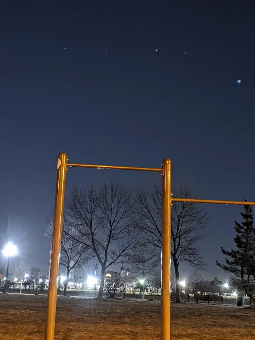 Pull Up Bars Picture 3
