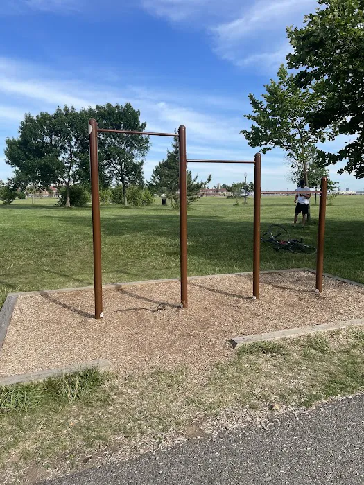 Pull Up Bars Picture 8