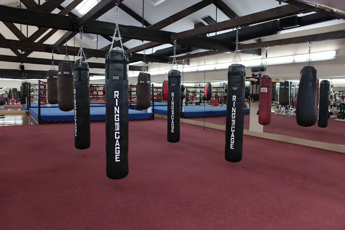 World Boxing Gym Picture 3