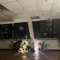 Roots Yoga Studio - Jersey City ico