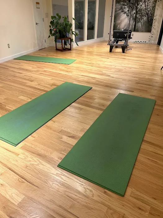 Maximum Motion Fitness Picture 4