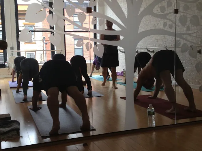 Surya Yoga Academy Picture 2