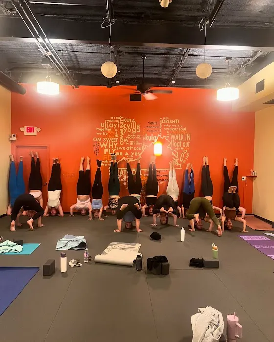 FlyDog Yoga Picture 1