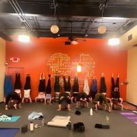 FlyDog Yoga ico