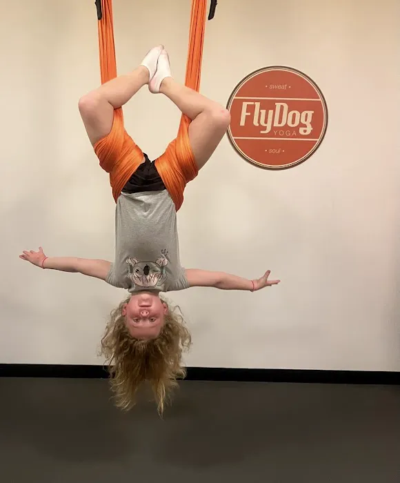 FlyDog Yoga Picture 4