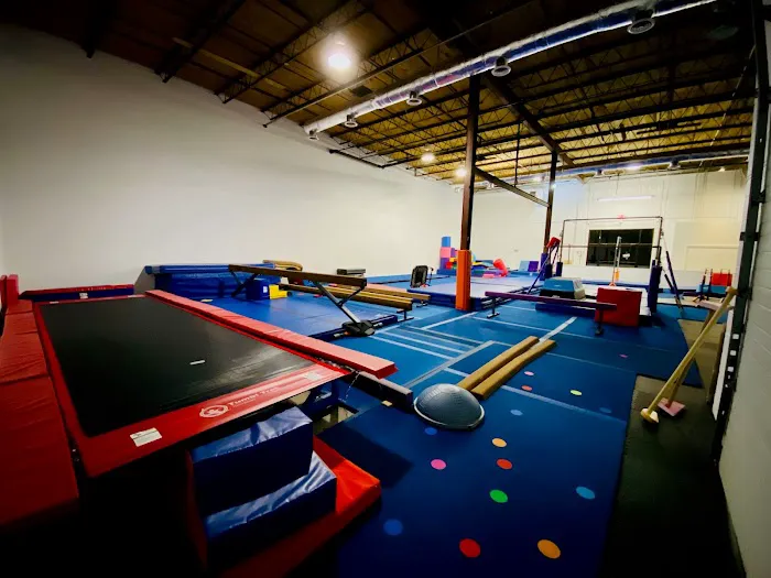 Gryphon Gymnastics Picture 7