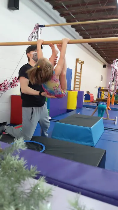 Gryphon Gymnastics Picture 5