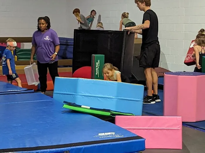 Gryphon Gymnastics Picture 3