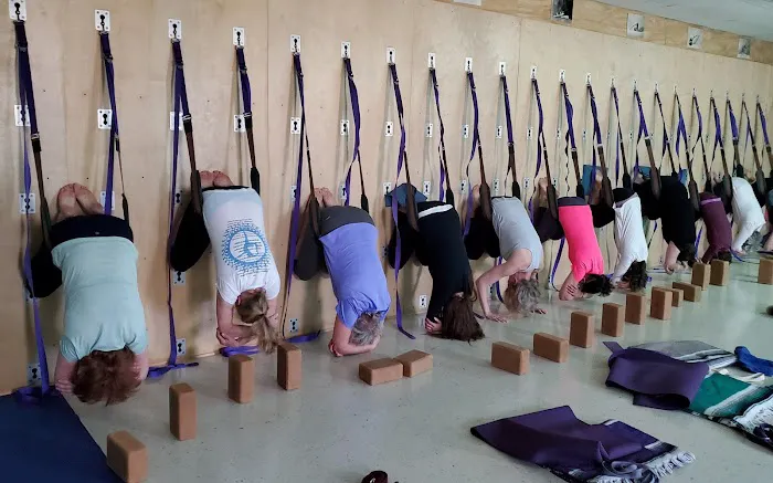 Yoga Cville Picture 7