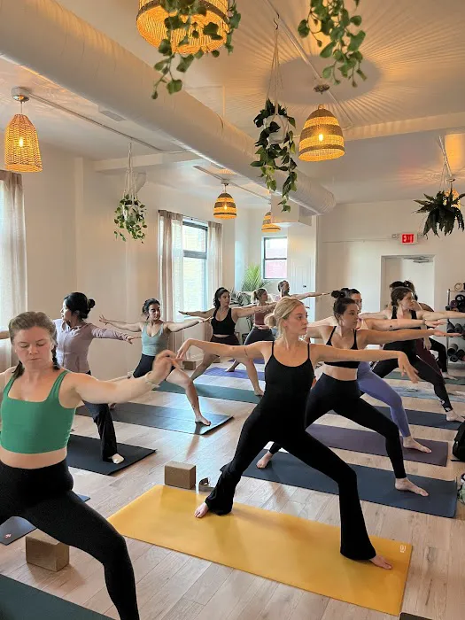 The Om Lounge Yoga & Wellness Picture 3