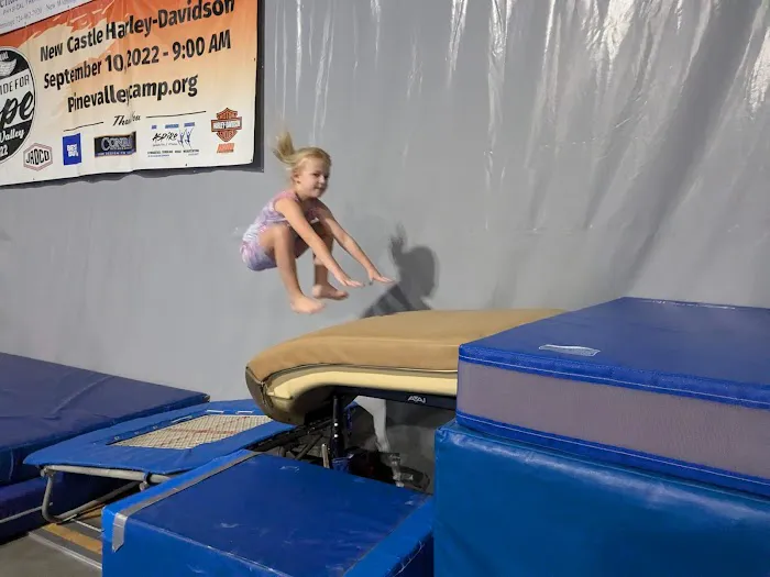 Aspire Gymnastics & Fitness Picture 4