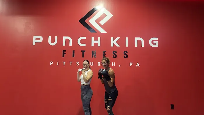 Punch HIIT Lab Wexford Picture 2
