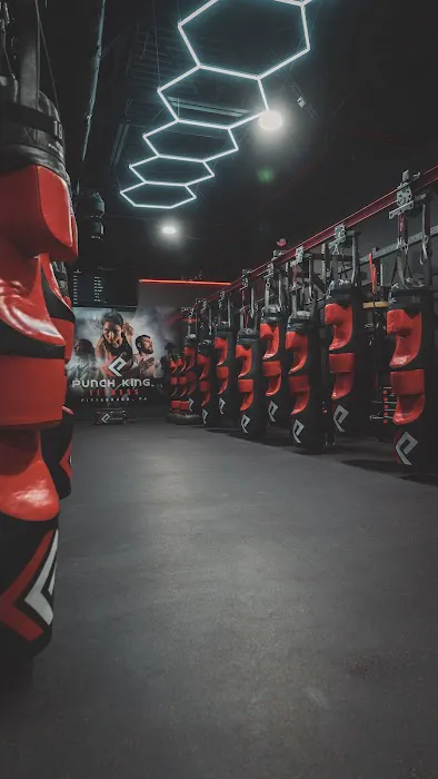 Punch HIIT Lab Wexford Picture 1