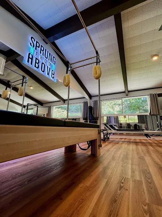 Sprung from Above Pilates Studio Picture 5