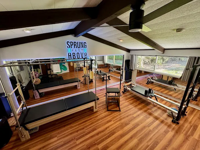 Sprung from Above Pilates Studio Picture 2