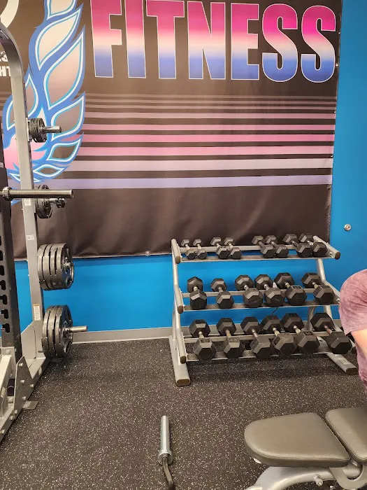 Phoenix Fitness Gym Picture 4
