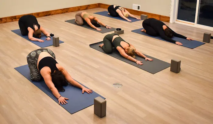 Total Balance Yoga & Fitness Studio Picture 1