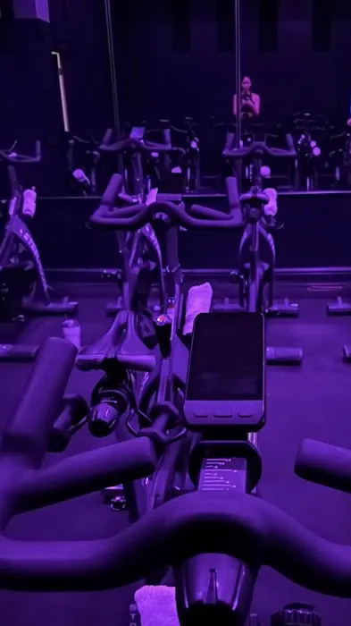 Steel House Cycle Picture 1