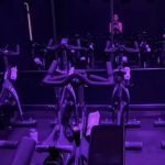 Steel House Cycle
