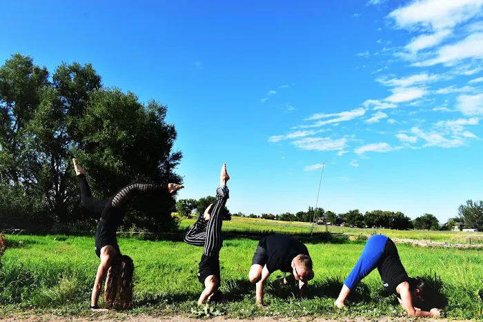 Kinetic Connection - Yoga & Dance Picture 4