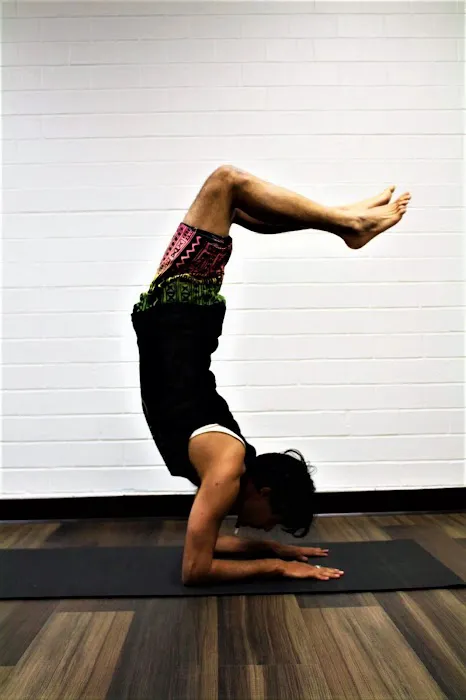 Kinetic Connection - Yoga & Dance Picture 1